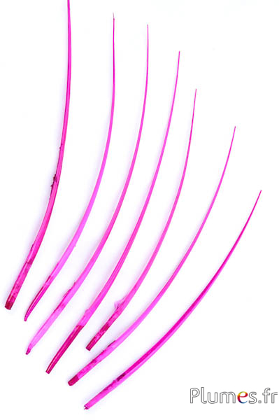Oie rachis - 25-30 cm - fuchsia